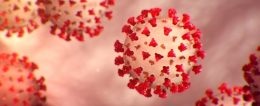 Coronavirus